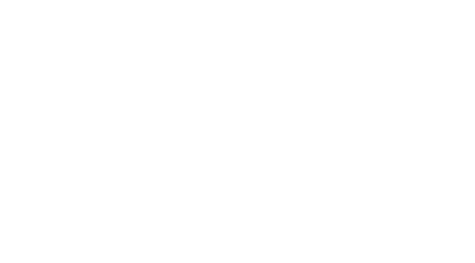 aafi logo